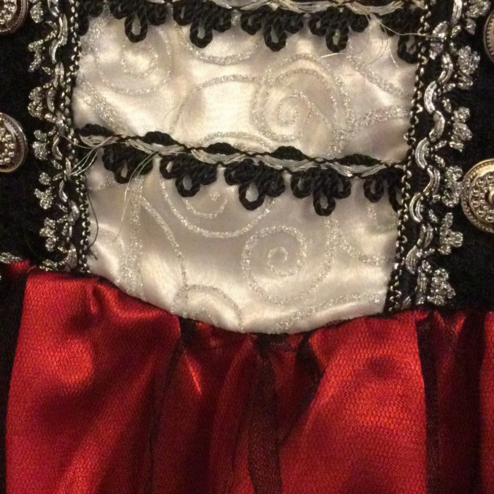 Buccaneer Beauty Costume - Picture 4 of 6